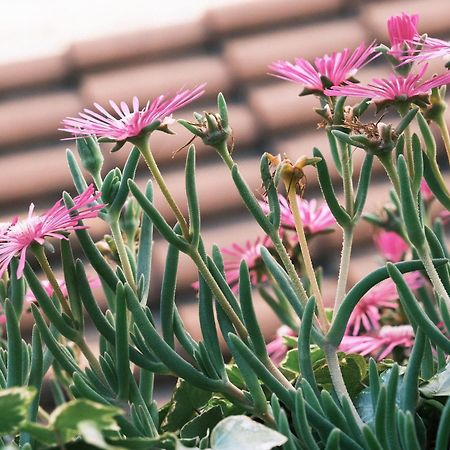 Comecasa Flowery Terraced Apartment Milan Bagian luar foto